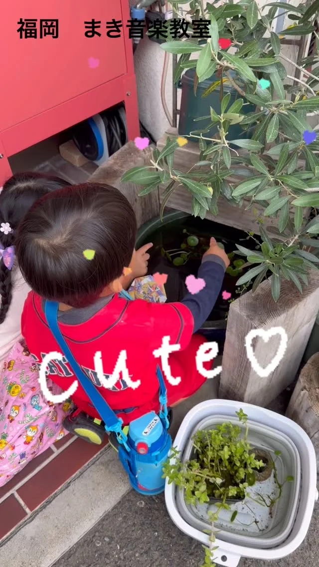 Instagram 投稿 17975678906935185